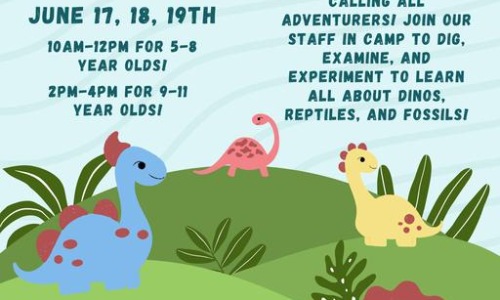 Dinosaur Camp (Ages: 9-11) Cover Image Dinosaur Camp (Ages: 9-11) Cover Image