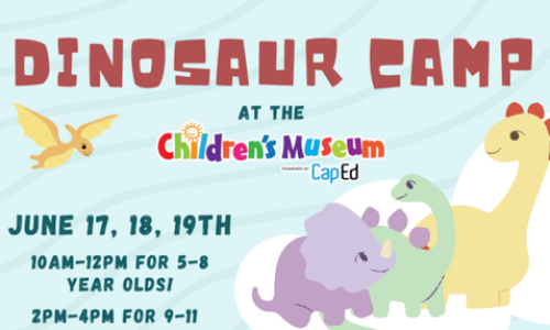 Dinosaur Camp (Ages: 5-8) Cover Image Dinosaur Camp (Ages: 5-8) Cover Image