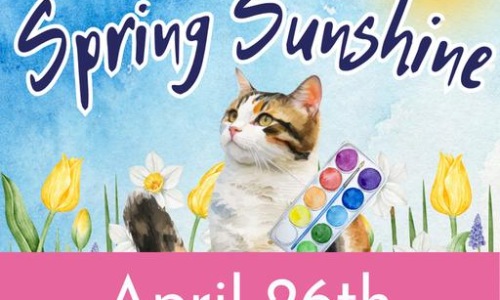 Spring Variety Day Camp: Spring Sunshine Cover Image Spring Variety Day Camp: Spring Sunshine Cover Image