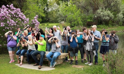 Nature Photo Walk @ Unplug and Be Outside Cover Image